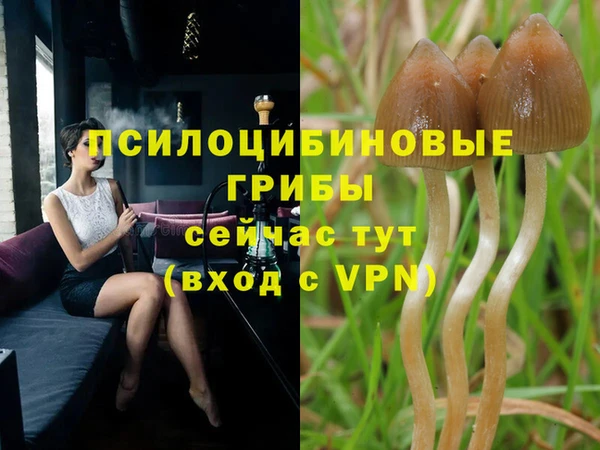 метадон Белокуриха