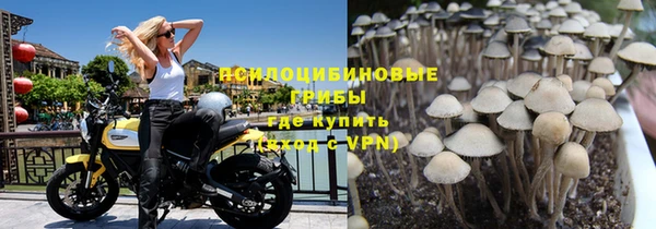 метадон Белокуриха