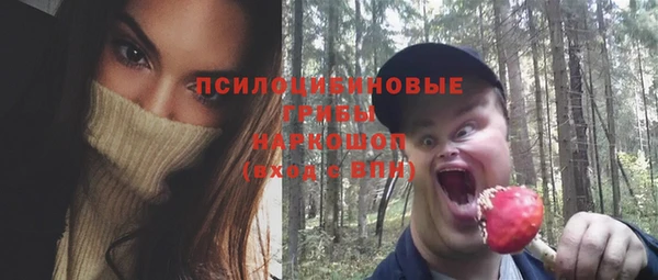 метадон Белокуриха