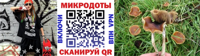 omg ссылки  это телеграм  Галлюциногенные грибы Cubensis  Малоярославец 